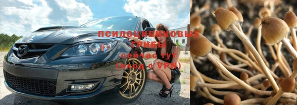 apvp Бронницы